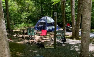 Lynn J.'s photo at Long Ridge Campground near Hayesville, NC
