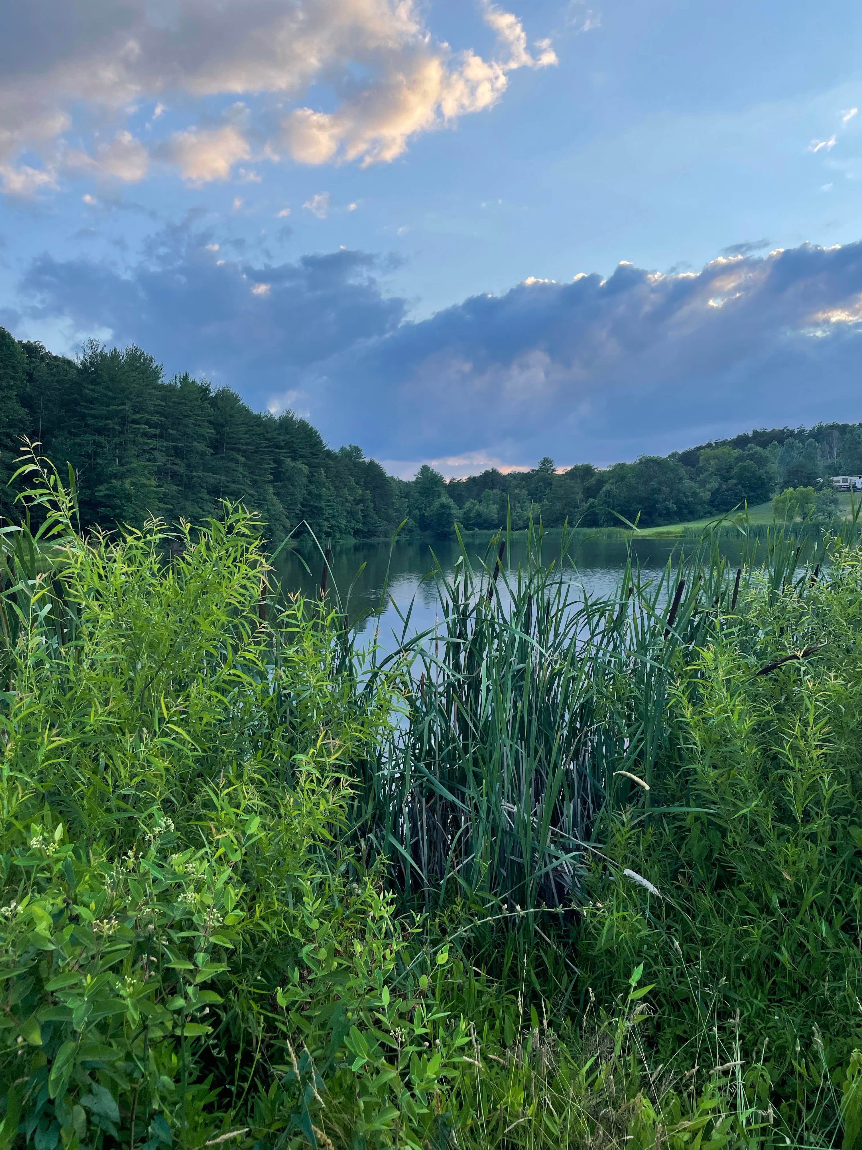 Camper submitted image from Paradise Stream Family Campground - 2