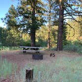 Review photo of Goumaz Campground - Lassen National Forest by Susan R., July 20, 2021