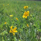 Review photo of Meridian State Park Campground by Tori M., June 15, 2018