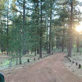 Review photo of Goumaz Campground - Lassen National Forest by Susan R., July 20, 2021