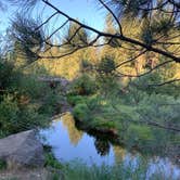 Review photo of Goumaz Campground - Lassen National Forest by Susan R., July 20, 2021