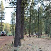 Review photo of Goumaz Campground - Lassen National Forest by Susan R., July 20, 2021