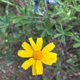 Review photo of Meridian State Park Campground by Tori M., June 15, 2018