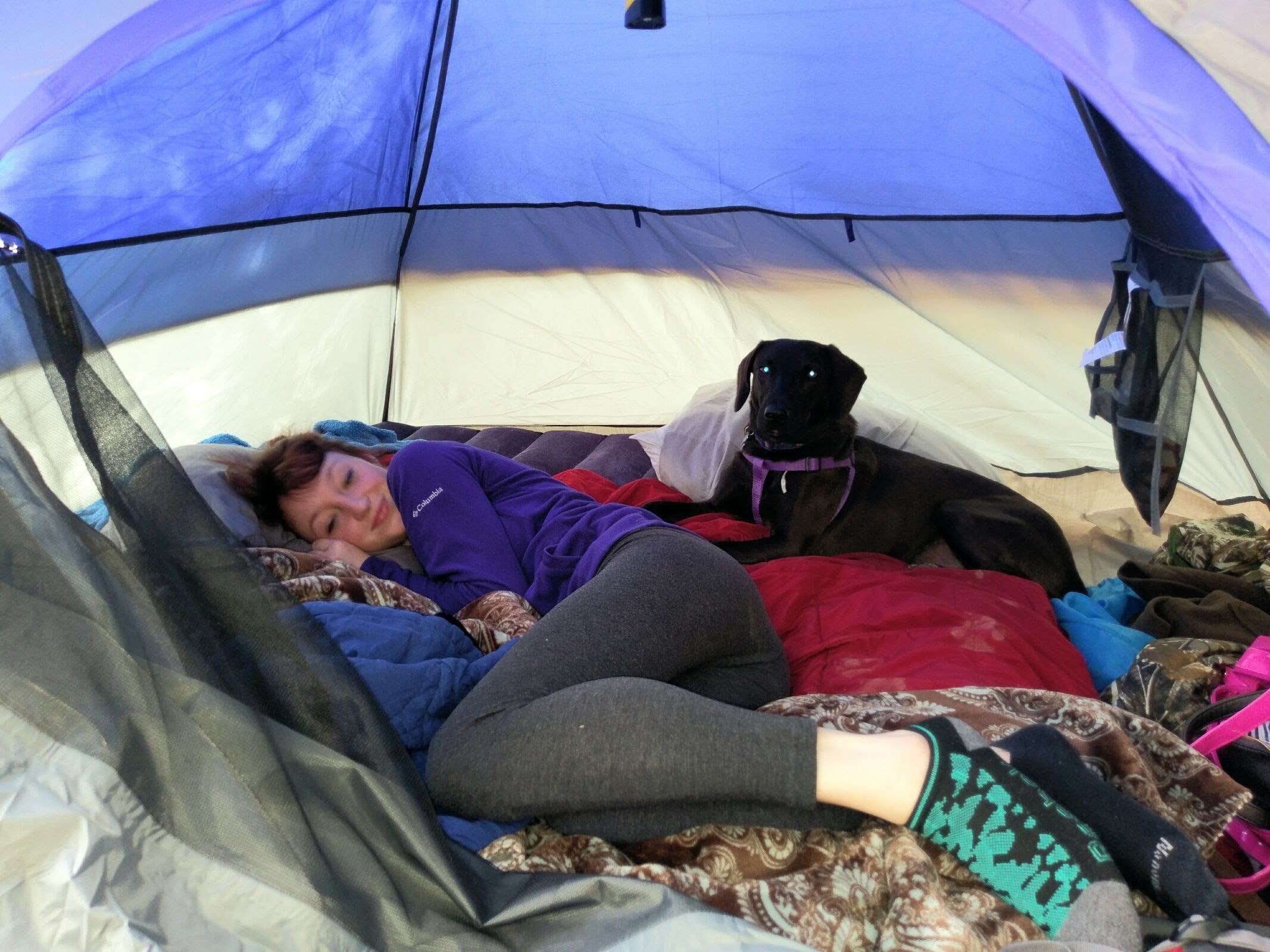 Camper submitted image from Lincoln Parish Park - 2