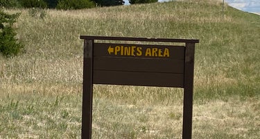 Pine Campground - Merritt Reservoir