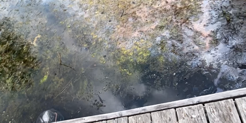 Camper submitted image from Sun Cove Resort