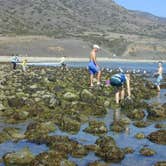 Review photo of Canyon Campground — Leo Carrillo State Park Campground by Carolyn A., July 20, 2021