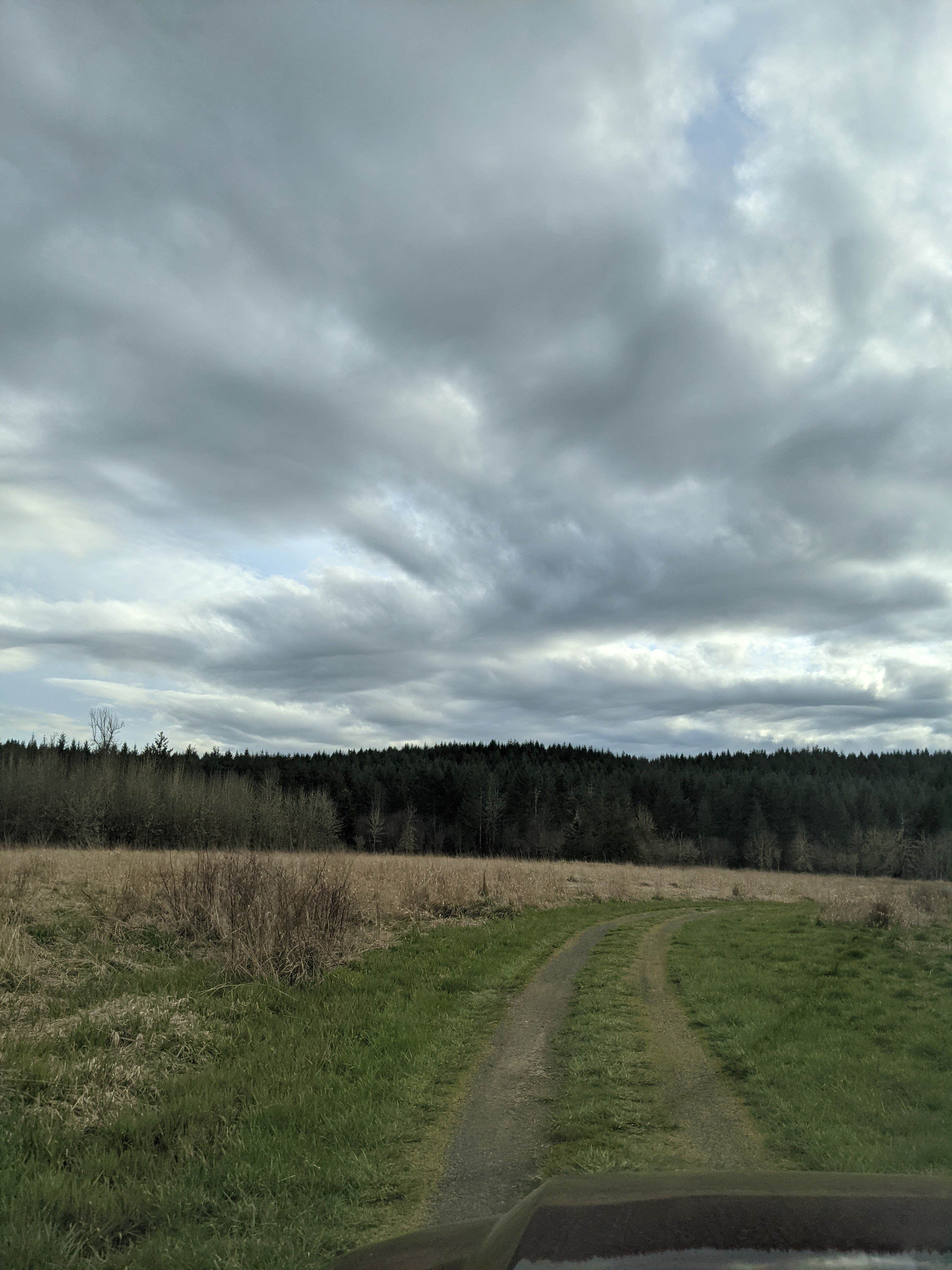 Camping near American Heritage Campground: Dragon's Gate Gardens, Tenino, Washington