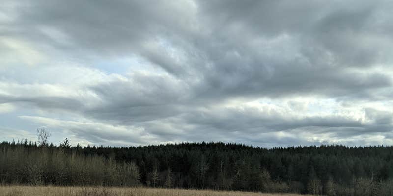 Camper submitted image from Dragon's Gate Gardens