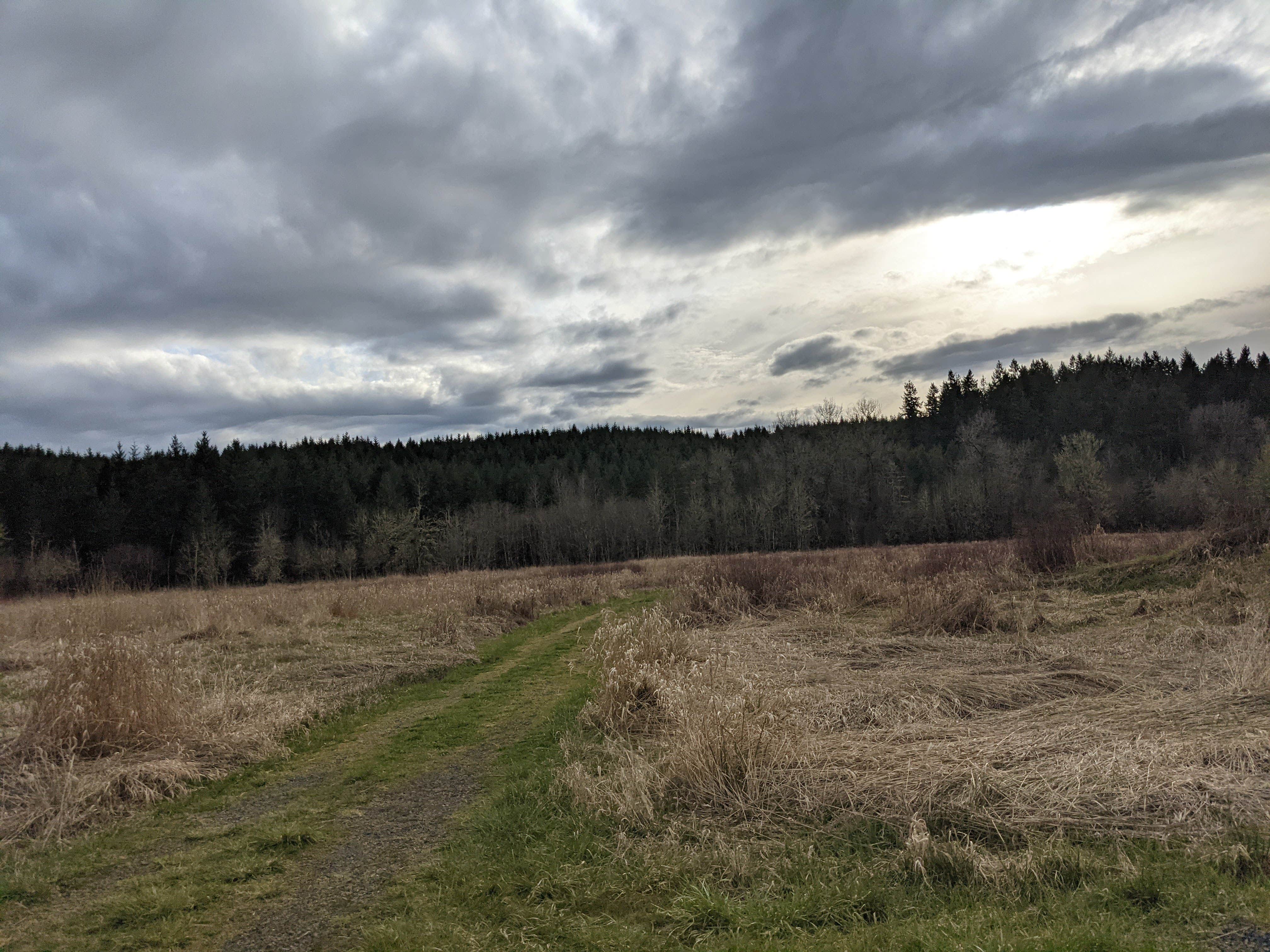 Camper-submitted photo at Dragon's Gate Gardens near Elma, WA