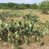 Review photo of South Llano River State Park Campground by Tori M., June 15, 2018