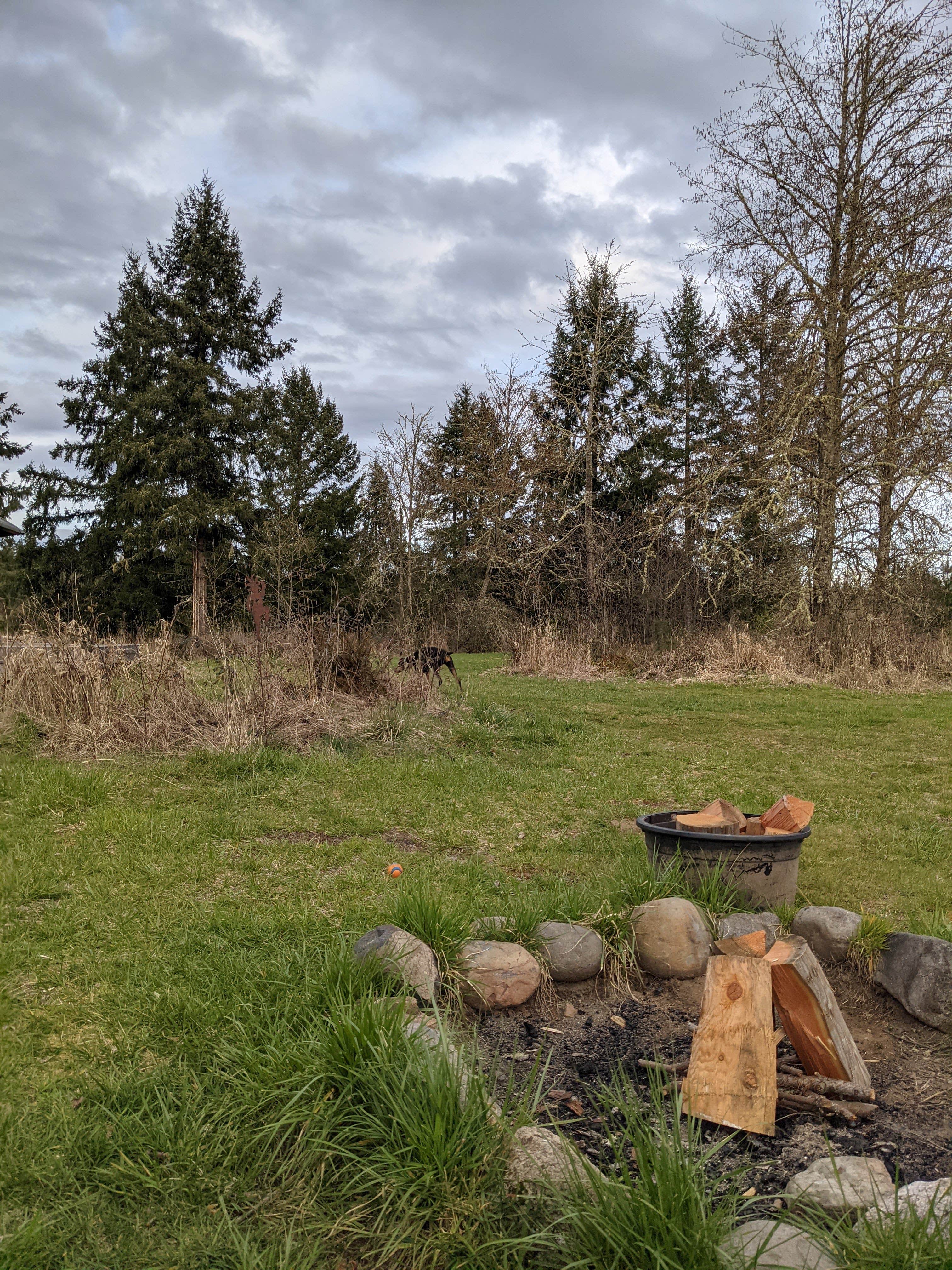 Camper-submitted photo at Dragon's Gate Gardens near Elma, WA