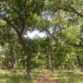 Review photo of South Llano River State Park Campground by Tori M., June 15, 2018