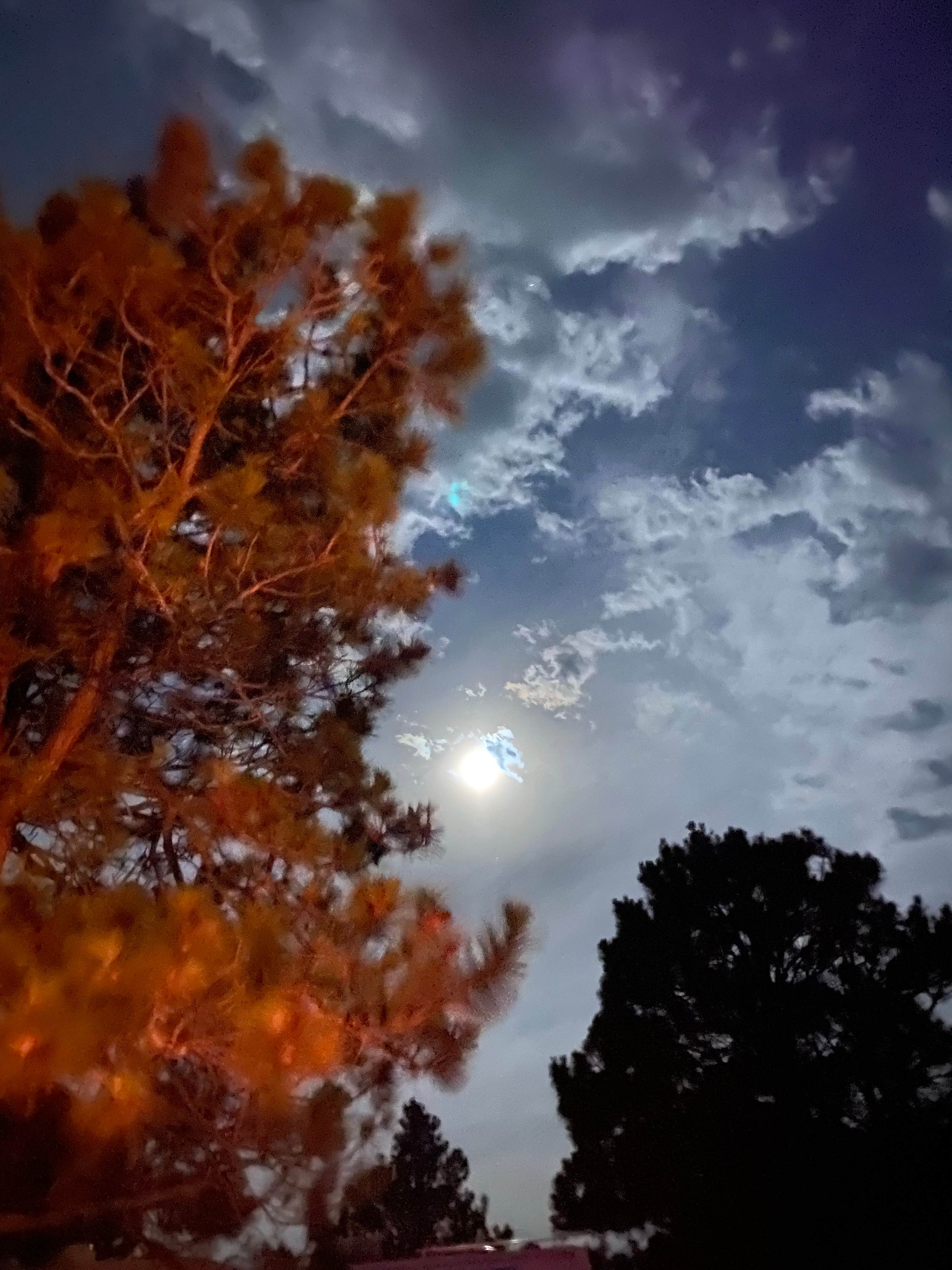 Camper-submitted photo at Cedar Bay Campground — Merritt Reservoir near Valentine, NE