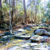 Review photo of Kisatchie Bayou NF Campground by Nicki M., June 15, 2018