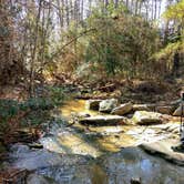 Review photo of Kisatchie Bayou NF Campground by Nicki M., June 15, 2018