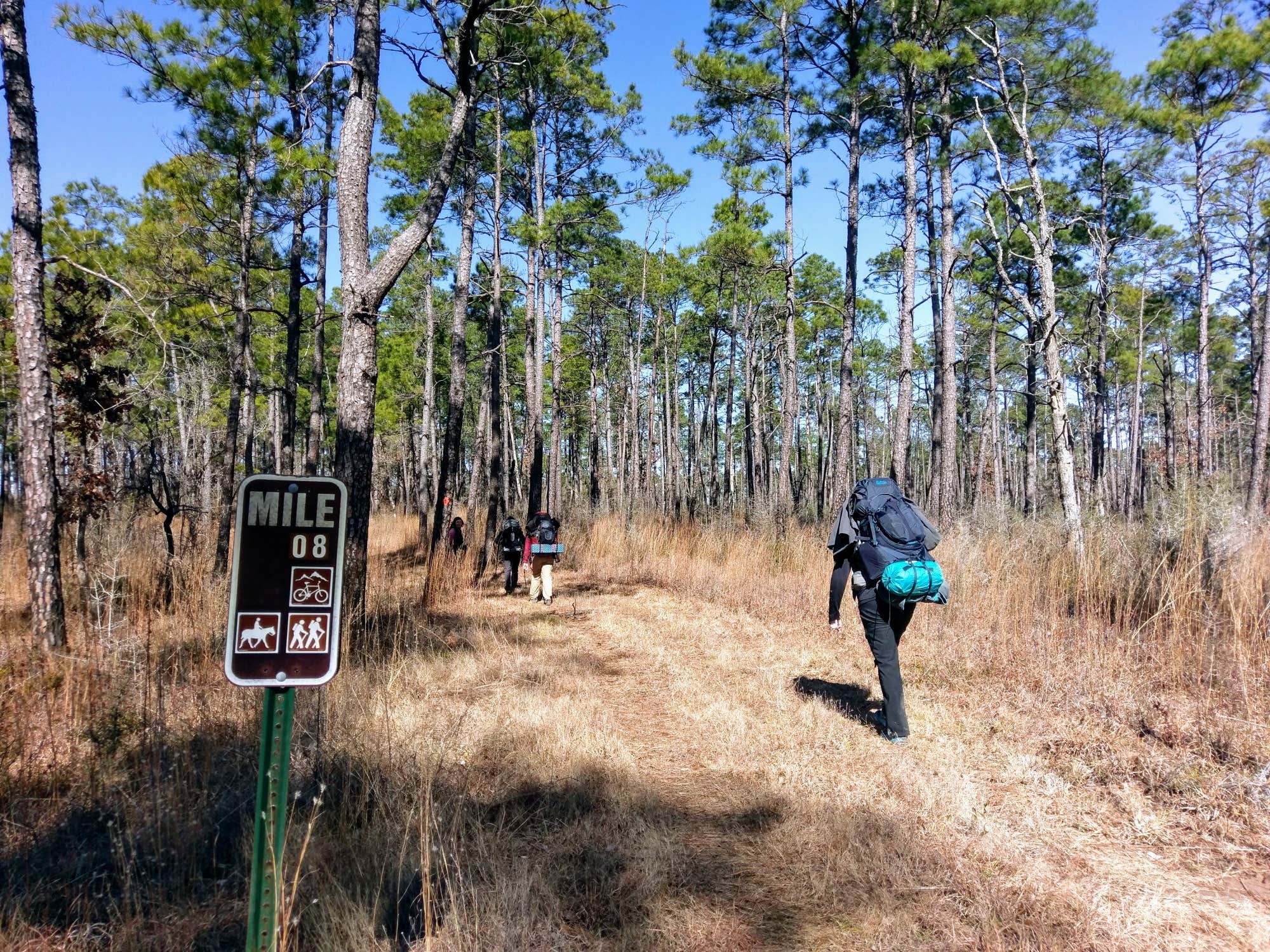 Camper submitted image from Kisatchie Bayou NF Campground - Temporarily Closed - 2