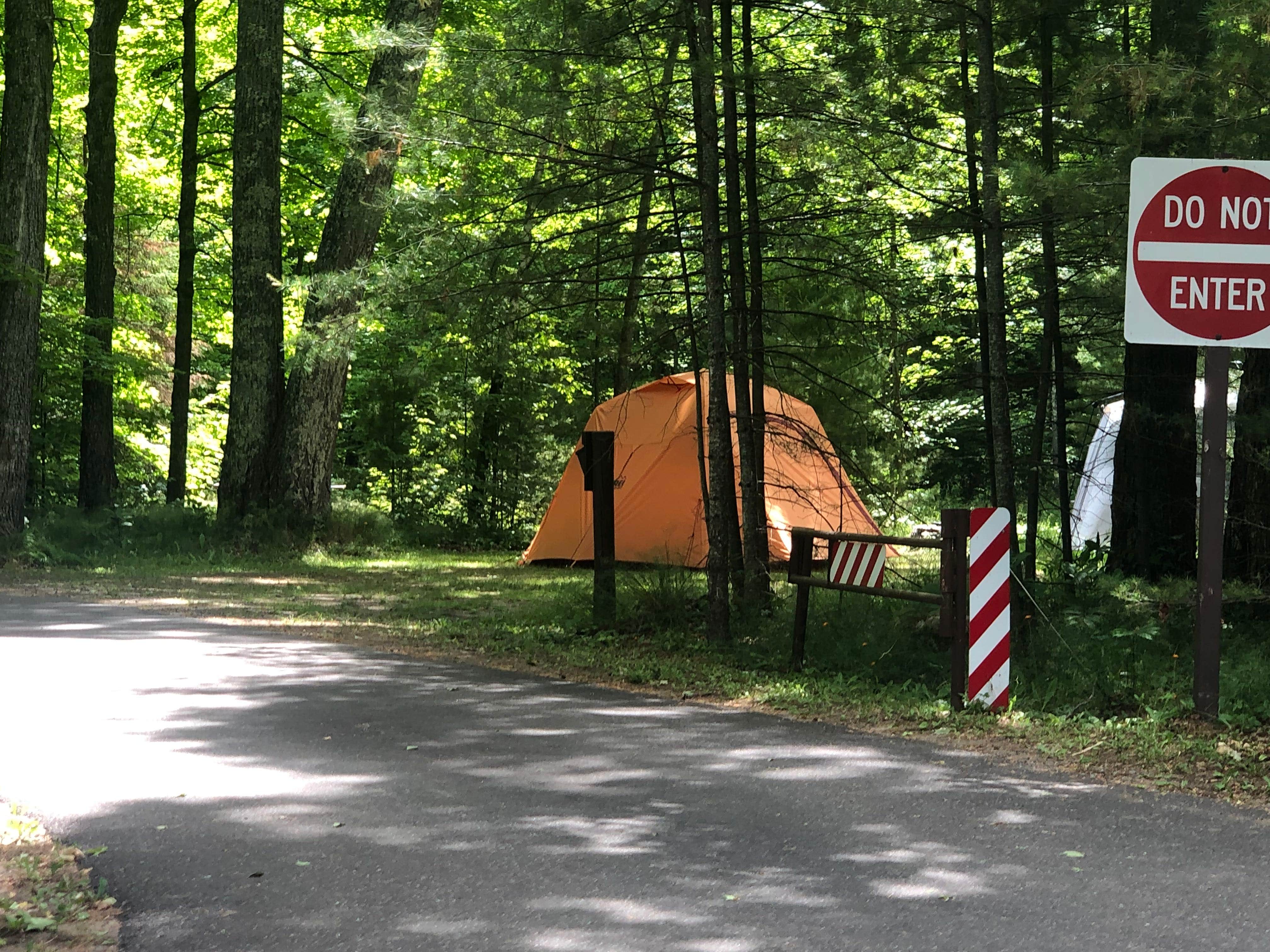 Camper submitted image from South Trout Lake — Northern Highland State Forest - 5