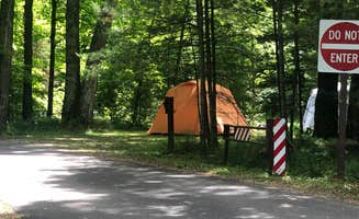 Art S.'s photo at South Trout Lake — Northern Highland State Forest near Boulder Junction, WI
