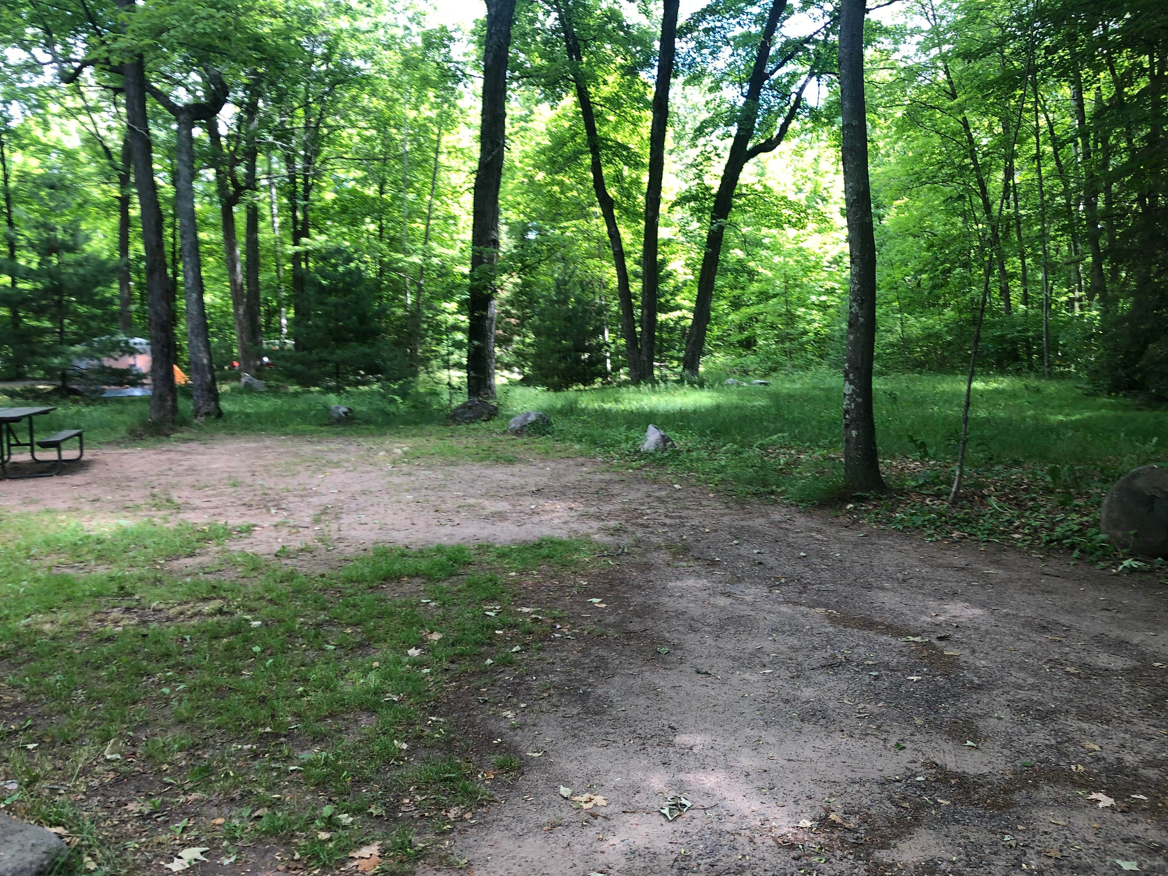 Camper submitted image from South Trout Lake — Northern Highland State Forest - 3
