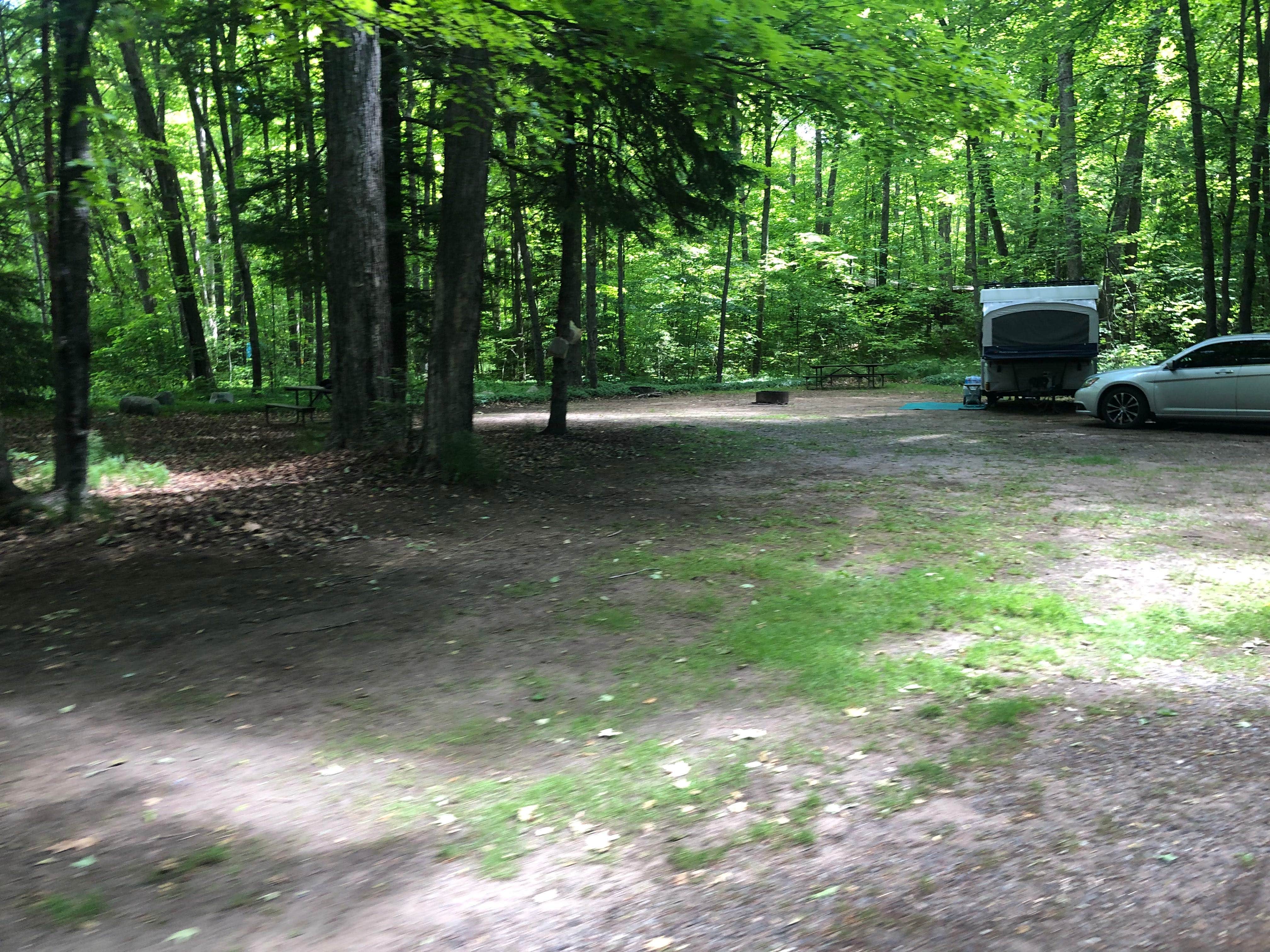 Camper submitted image from South Trout Lake — Northern Highland State Forest - 3