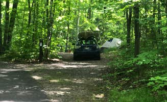 Art S.'s photo at South Trout Lake — Northern Highland State Forest near Minocqua, WI