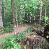 Review photo of North Trout Lake Campground — Northern Highland State Forest by Art S., July 20, 2021