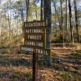 Review photo of Kisatchie Bayou NF Campground by Nicki M., June 15, 2018