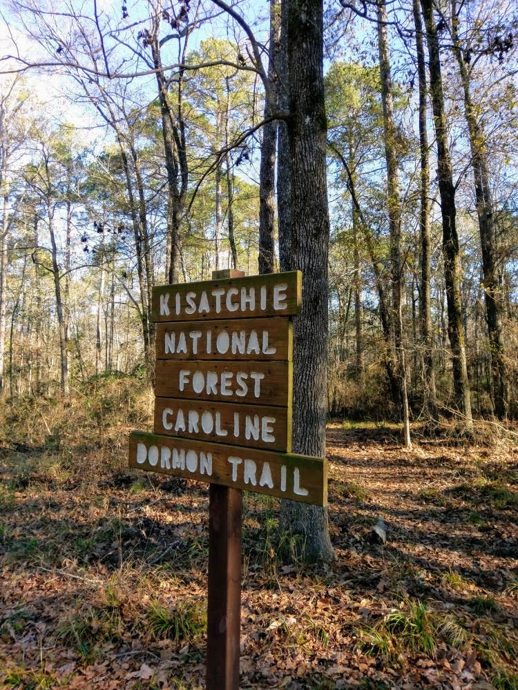 Camper submitted image from Kisatchie Bayou NF Campground - Temporarily Closed - 3