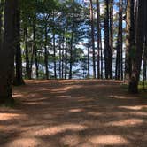 Review photo of North Trout Lake Campground — Northern Highland State Forest by Art S., July 20, 2021