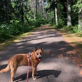 Review photo of North Trout Lake Campground — Northern Highland State Forest by Art S., July 20, 2021