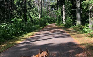 Art S.'s photo of camping with pets at North Trout Lake Campground — Northern Highland State Forest in Wisconsin