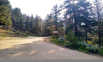 Camping near One Mile: North Bank Campground, Almont, Colorado