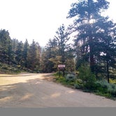 Review photo of North Bank Campground by Peter S., July 20, 2021