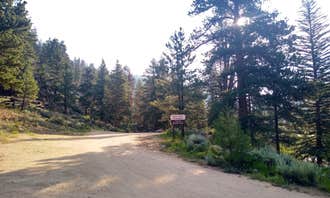 Camping near Lottis Creek Campground: North Bank Campground, Almont, Colorado