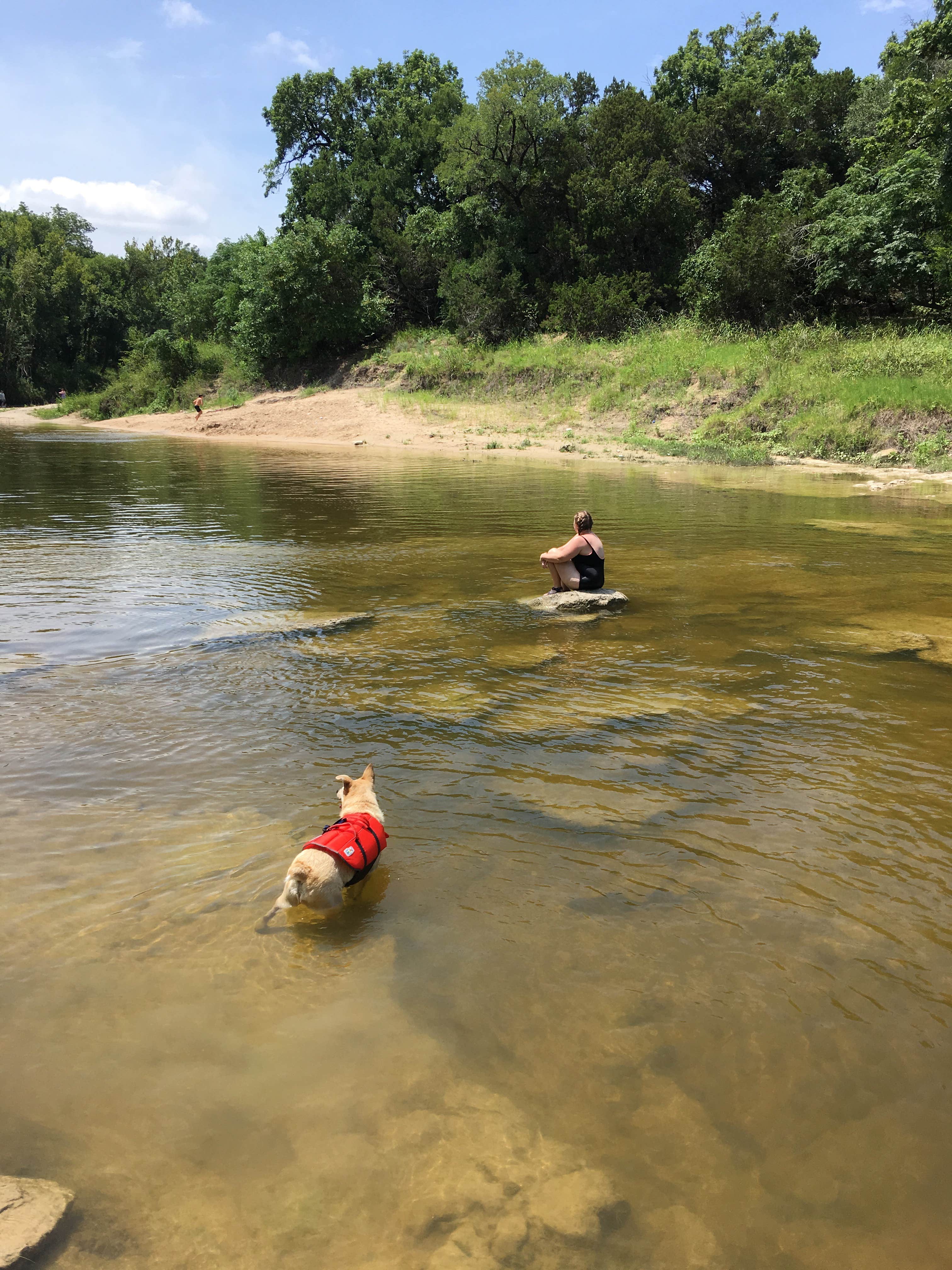 Camper submitted image from Dinosaur Valley State Park — Dinosaur Valley State Park - 4