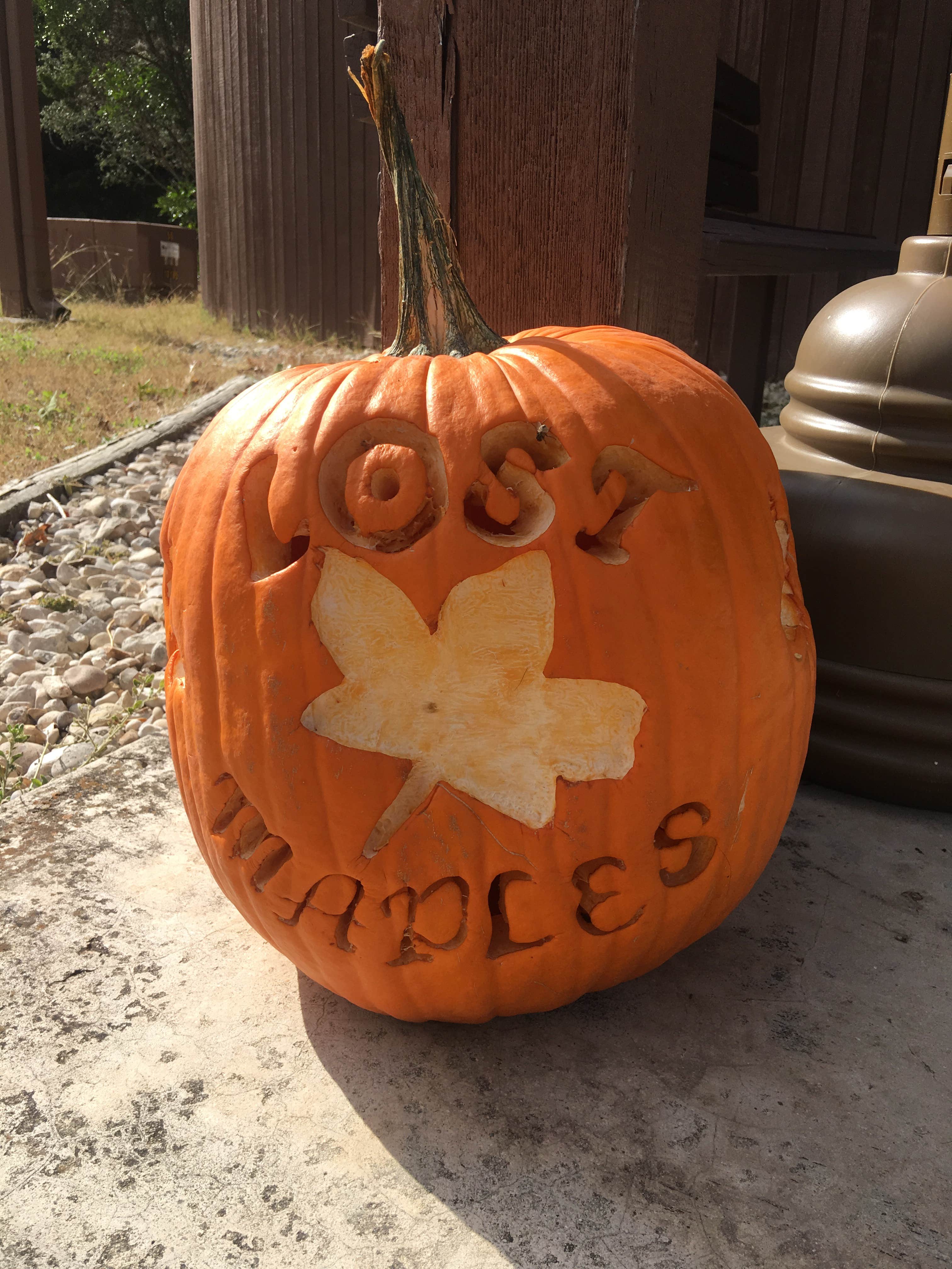 Camper submitted image from Lost Maples State Natural Area Campground - 5