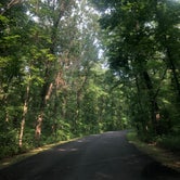Review photo of Tippecanoe River State Park Campground by Ali F., July 20, 2021