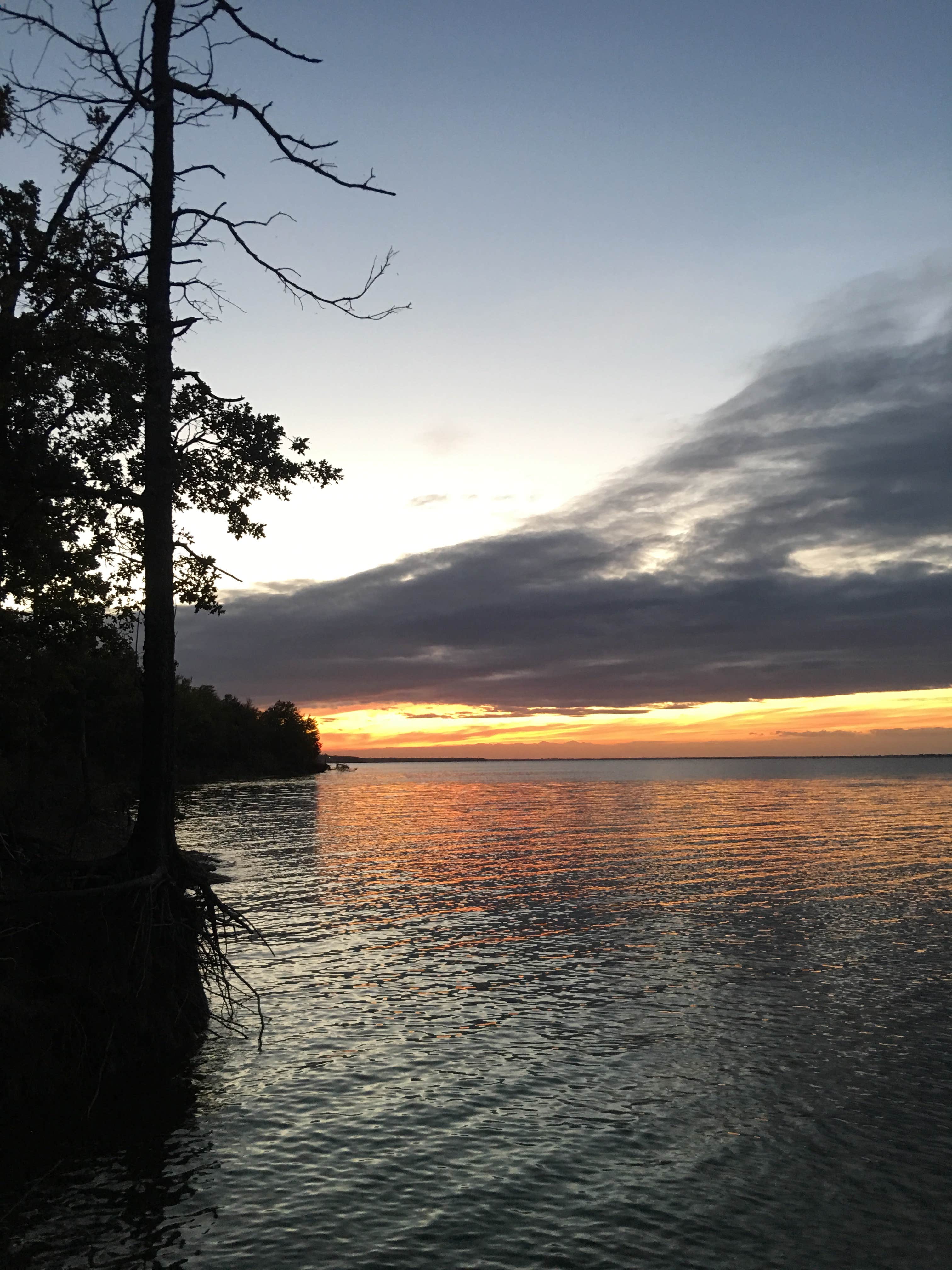 Camper-submitted photo at Pecan Ridge Cabins — Cooper Lake State Park South Sulphur Unit near Commerce, TX