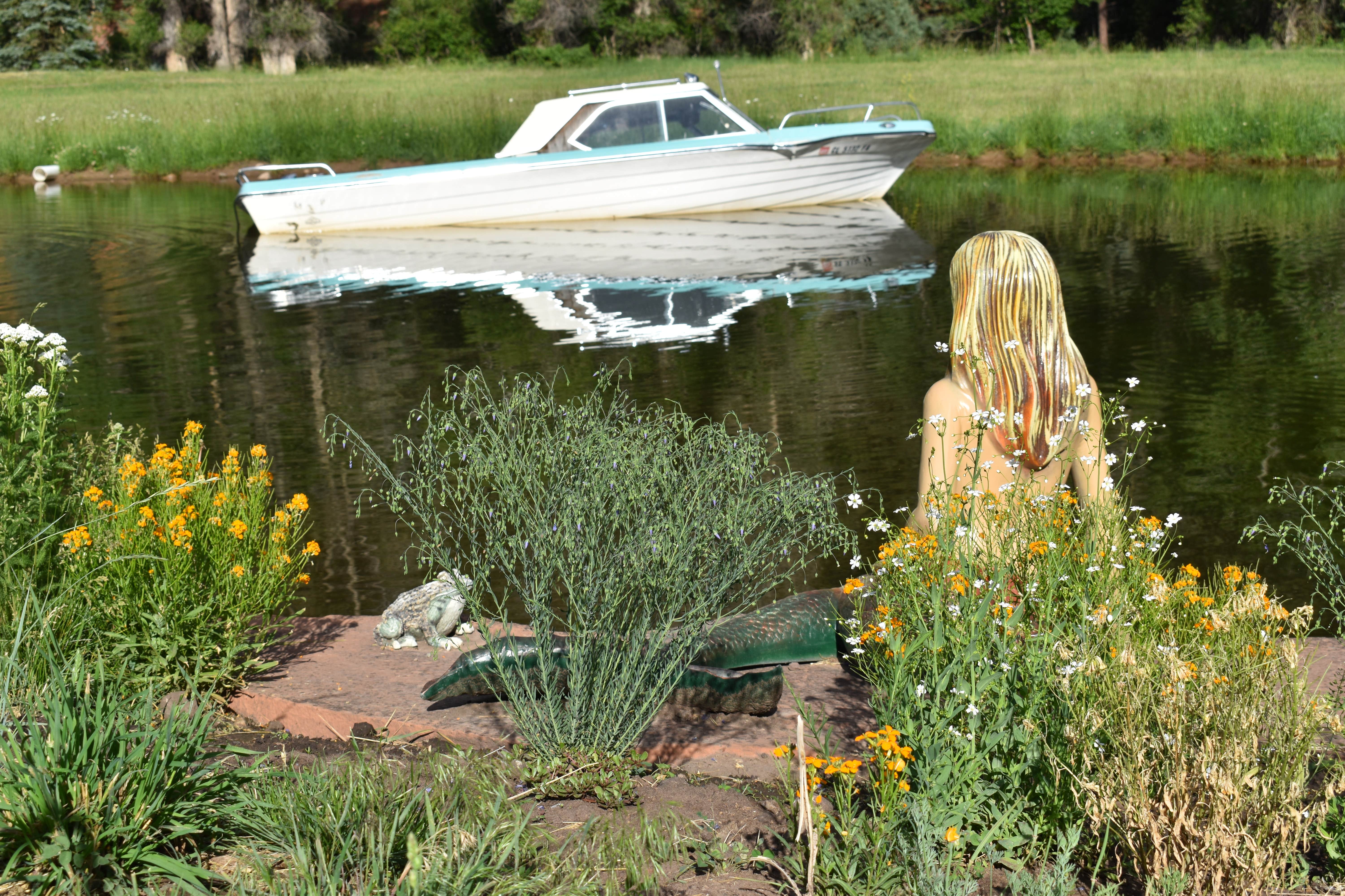 Camper submitted image from Poor Farm RV Park - 5