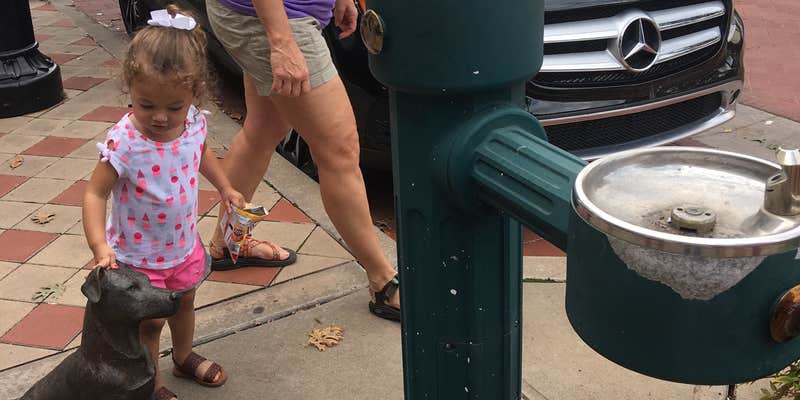 Camper submitted image from Pecan Ridge Cabins — Cooper Lake State Park South Sulphur Unit