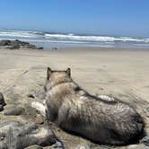 Review photo of Rock Creek Campground - Siuslaw by Kathy B., July 8, 2021