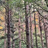 Review photo of Rock Creek Campground - Siuslaw by Kathy B., July 8, 2021