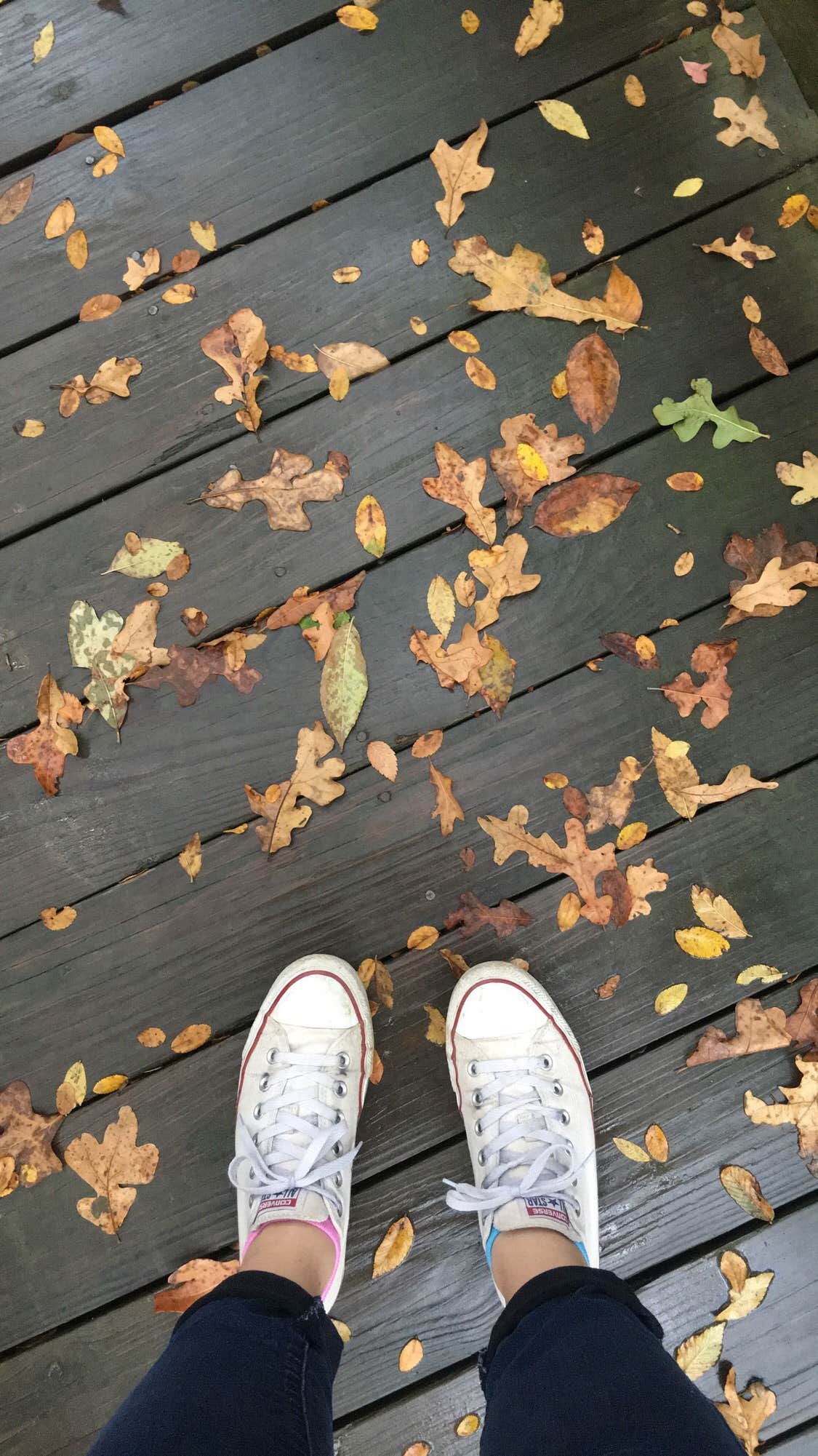 Camper-submitted photo at Pecan Ridge Cabins — Cooper Lake State Park South Sulphur Unit near Commerce, TX