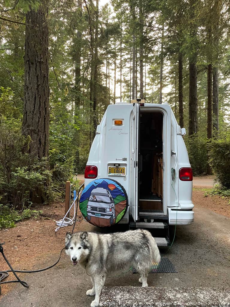 Kathy B.'s photo of camping with pets at Jessie M. Honeyman Memorial State Park Campground near Florence, OR