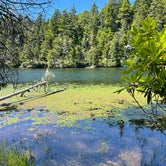Review photo of Jessie M. Honeyman Memorial State Park Campground by Kathy B., July 9, 2021