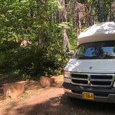 Review photo of Gales Creek Campground by Kathy B., July 20, 2021