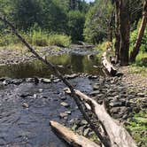 Review photo of Gales Creek Campground by Kathy B., July 20, 2021