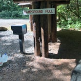 Review photo of Gales Creek Campground by Kathy B., July 20, 2021